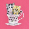 2-Pack Nightshirts, Kitties, large