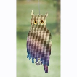 Reflecting Guard Owl, , large