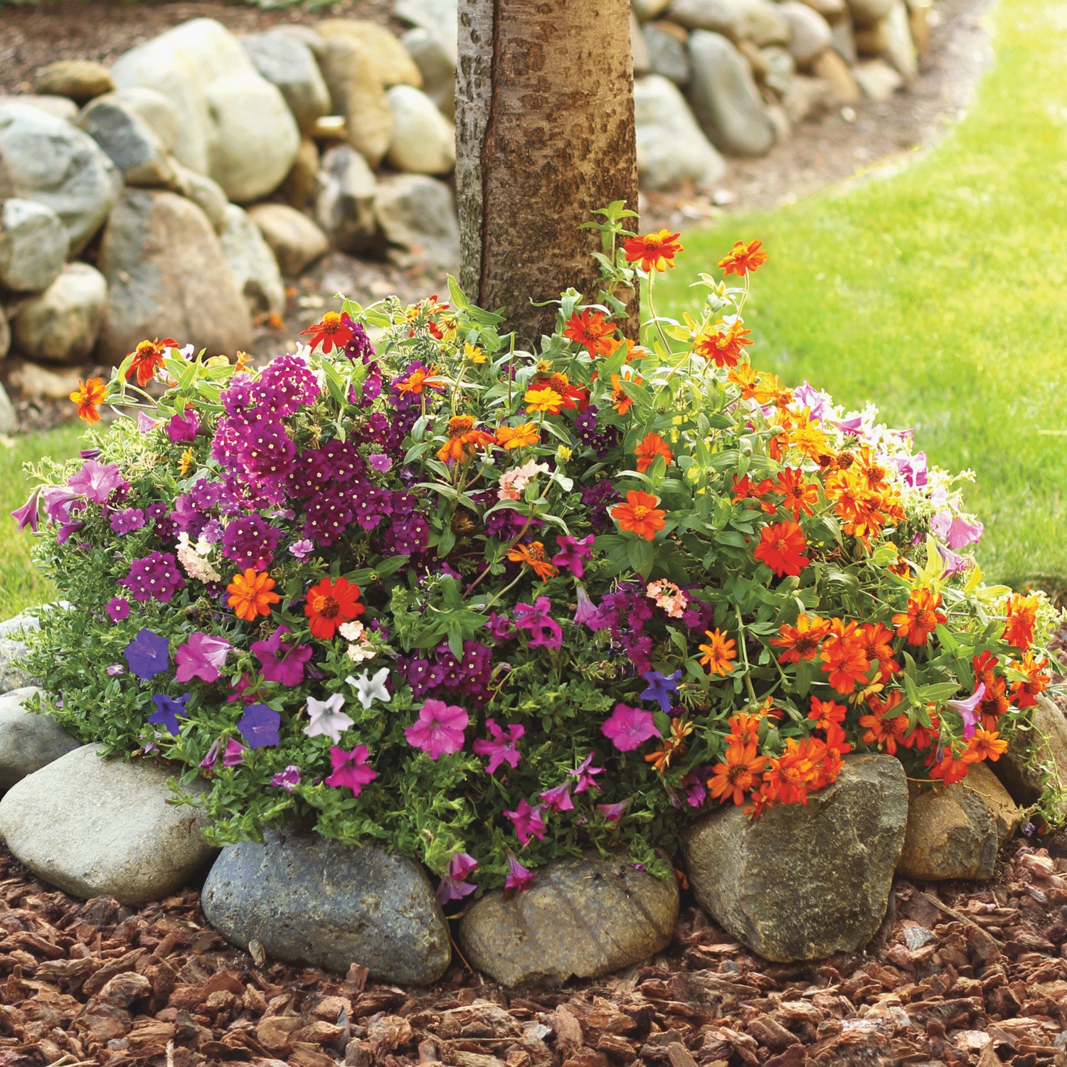 Easy RollOut Flower Mats Dr. Leonard's