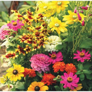 Butterfly Garden Flower Mat, , large