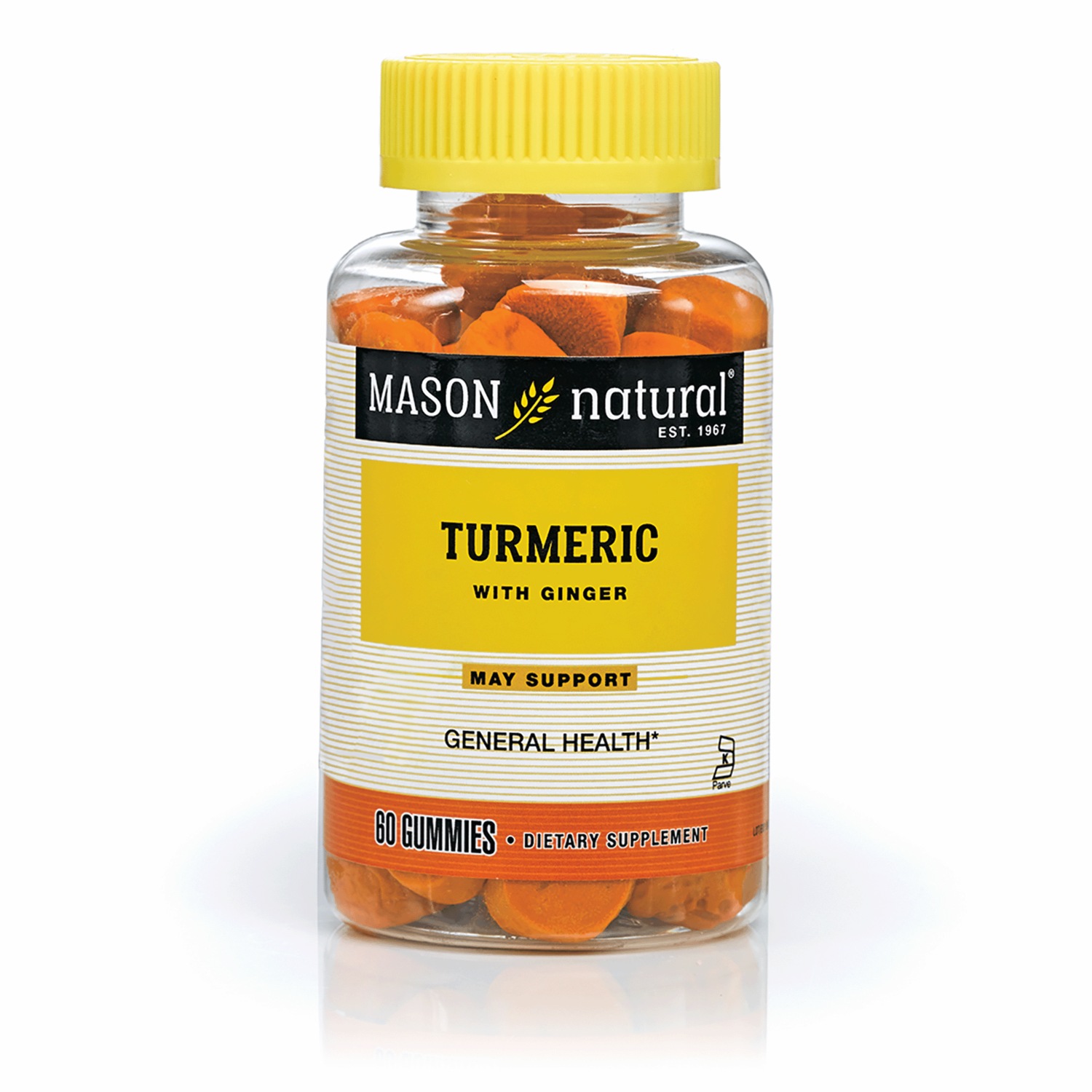 Turmeric With Ginger Supplement Dr. Leonard's