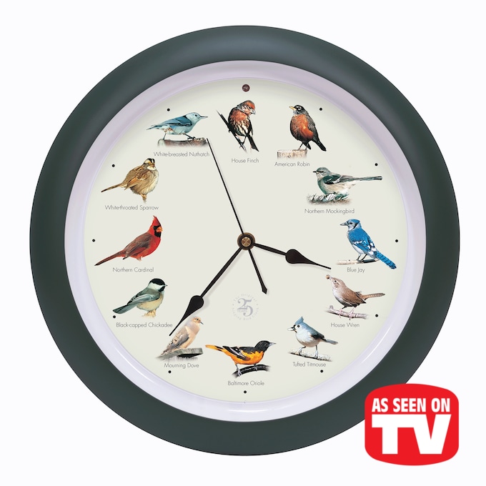 Healthy Living Dr Leonard's Health Catalog Singing Bird Clock