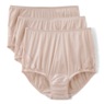 Vanity Fair&reg; 3-Pack Women's Full-Coverage  Briefs with Elegant Lace Details
, , large