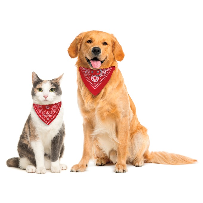 Bandana Pet Collar, , large