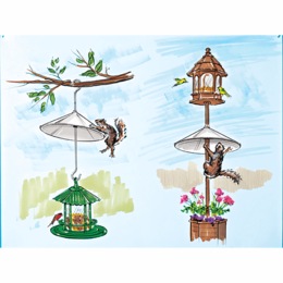 Squirrel Baffle, , large