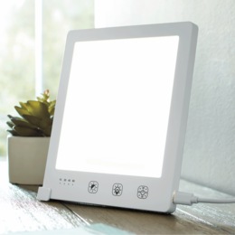 LED Daylight Lamp, , large