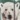 Sherpa Print Jacket, Polar Bears, swatch