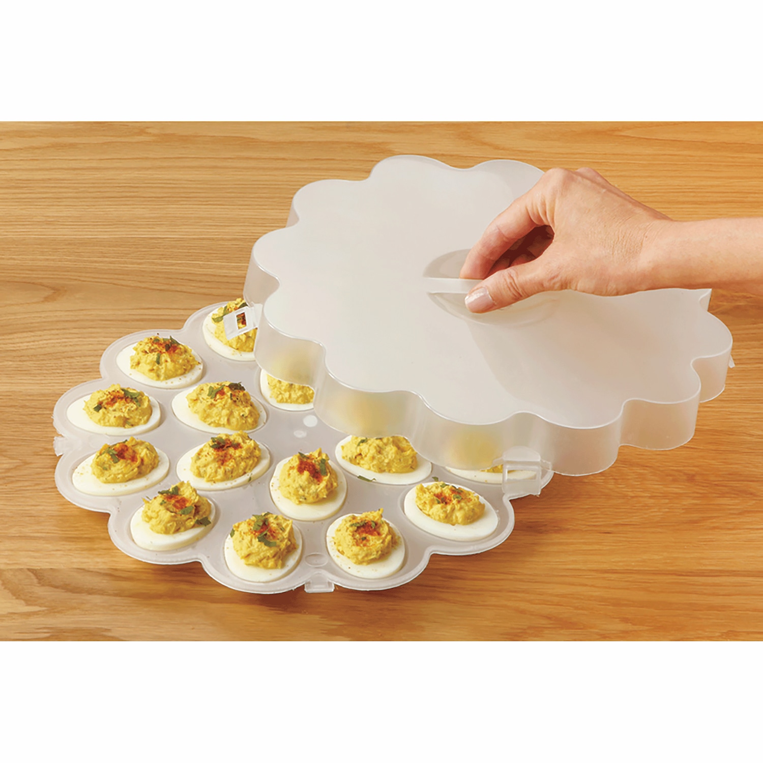 Plastic Deviled Egg Tray Dr. Leonard's