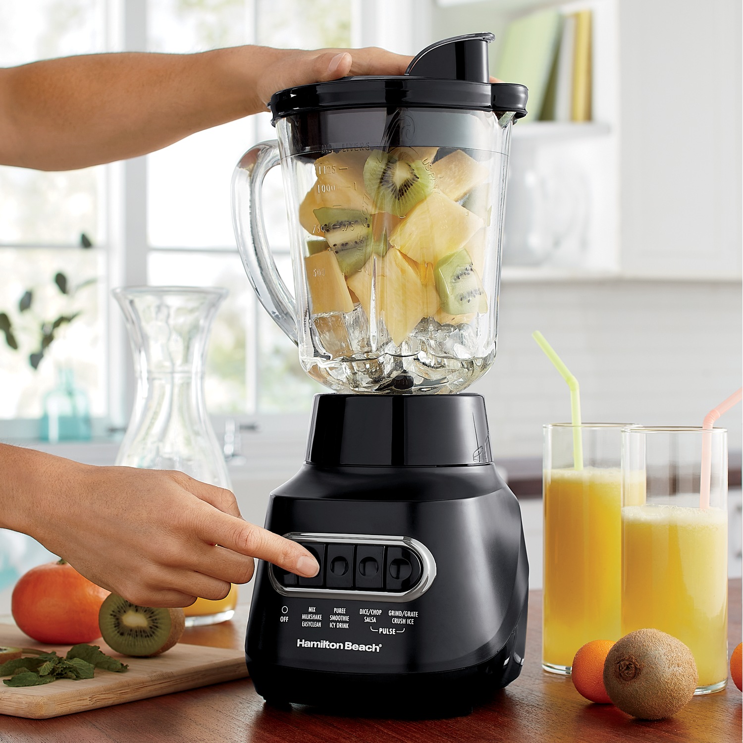 Hamilton Beach Power Elite Blender Dr. Leonard's